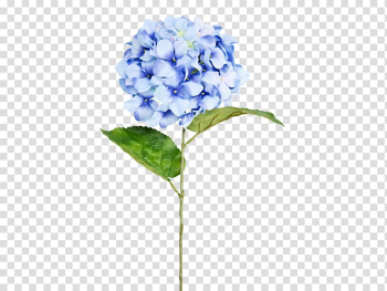 Blue and green hydrangea flowers illustartion, Cut flowers Hydrangea Floral design Lilac, watercolor succulents transparent background PNG clipart