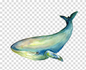 Blue and green whale illustration, Baleen whale Blue Whale Illustration, whale transparent background PNG clipart