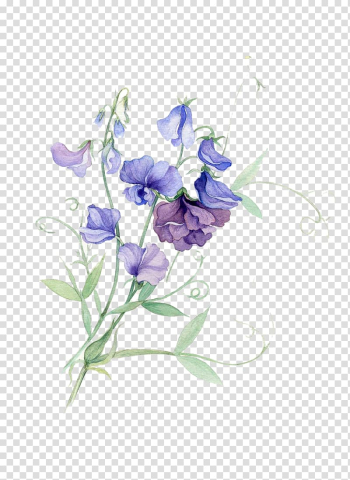 Blue and purple flowers illustration, Paper Sweet pea Watercolor painting Flower, Purple pea flowers material transparent background PNG clipart