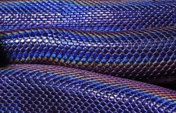 blue and purple snakeskin blue and purple snakeskin