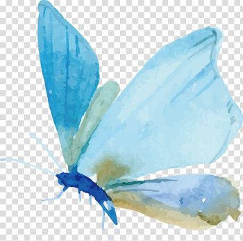Blue and teal butterfly painting, Butterfly Watercolor painting Moth Euclidean , painted butterfly transparent background PNG clipart