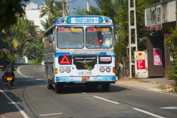 Blue and White Bus Blue and White Bus