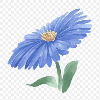 Blue aster flower transparent png watercolor sticker Blue aster flower transparent png watercolor sticker