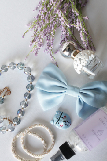 Blue Bow Accessory Blue Bow Accessory