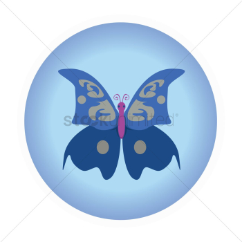 Blue butterfly Blue butterfly