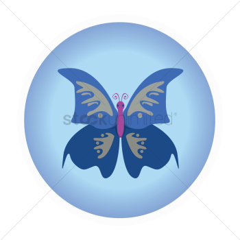 Blue butterfly Blue butterfly
