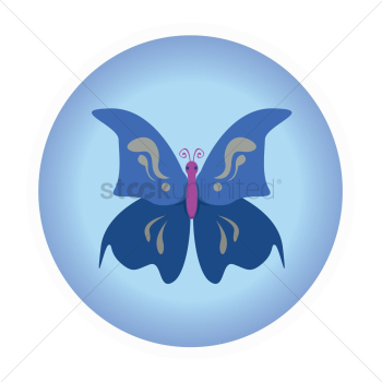 Blue butterfly Blue butterfly