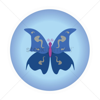 Blue butterfly Blue butterfly