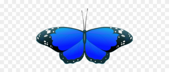 Blue Butterfly Clipart - Clipart Blue Butterfly Blue Butterfly Clipart - Clipart Blue Butterfly