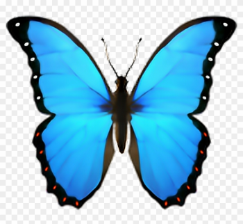 Blue Butterfly Emoji Blue Butterfly Emoji