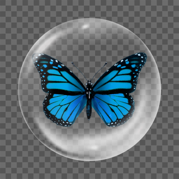 Blue butterfly png sticker, | Free PNG - rawpixel Blue butterfly png sticker, | Free PNG - rawpixel