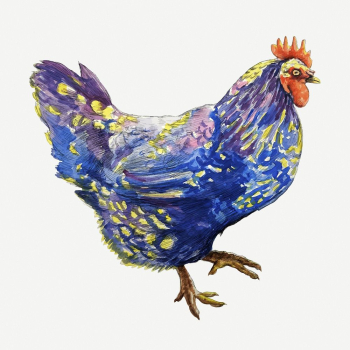 Blue chicken clipart, animal collage | Free PSD - rawpixel Blue chicken clipart, animal collage | Free PSD - rawpixel