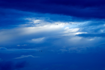 Blue Clouds Blue Clouds