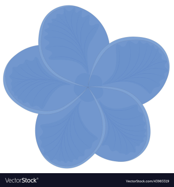 blue color plumeria frangipani flower blue color plumeria frangipani flower