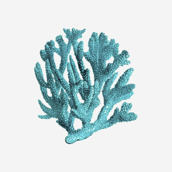 Blue coral clipart, sea life | Free Photo - rawpixel