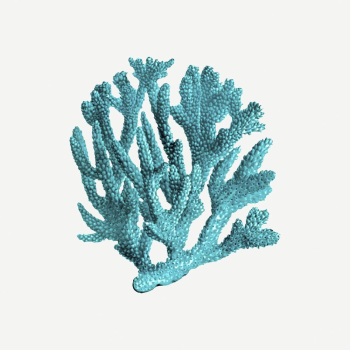 Blue coral clipart, sea life | Free PSD - rawpixel