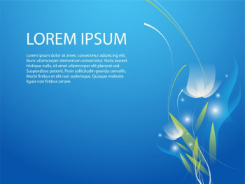 blue flower background blue flower background