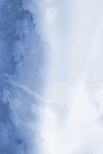 Blue flower background, gradient nature | Free Photo - rawpixel Blue flower background, gradient nature | Free Photo - rawpixel