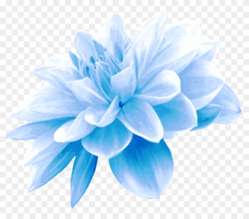 Blue Flower Picture Savingourboys - Single Blue Flower Blue Flower Picture Savingourboys - Single Blue Flower