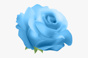 Blue Flower Png - Blue Rose No Background , Transparent Cartoon ...