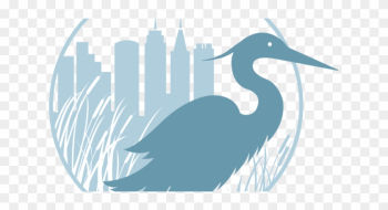 Blue Heron Nature Preserve Receives Wetland Restoration - Ciconiiformes Blue Heron Nature Preserve Receives Wetland Restoration - Ciconiiformes