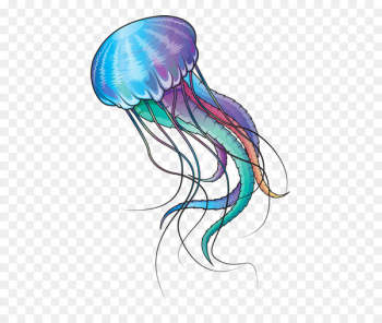 Blue jellyfish Marine invertebrates Ocean - jelly Blue jellyfish Marine invertebrates Ocean - jelly