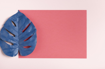 Blue leaf on pink background mock-up Free Photo