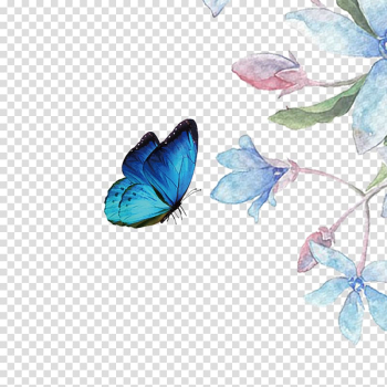 Blue morpho butterfly hovering in front of blue petaled flower illustration, Butterfly Computer file, Beautiful flowers transparent background PNG clipart