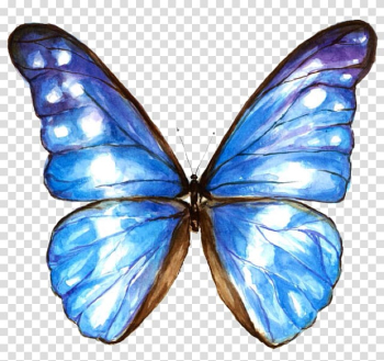 Blue morpho butterfly illustration, Butterfly Watercolor painting Insect Moth, watercolor butterfly transparent background PNG clipart