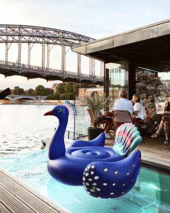 Blue Peacock Float On Pool Blue Peacock Float On Pool