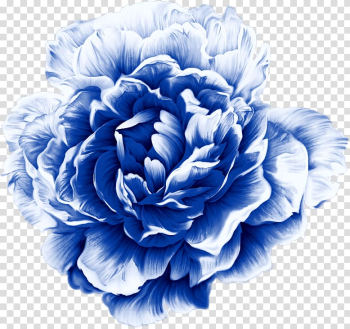 Blue peony flower illustration, Watercolor painting Moutan peony , Peony pattern transparent background PNG clipart
