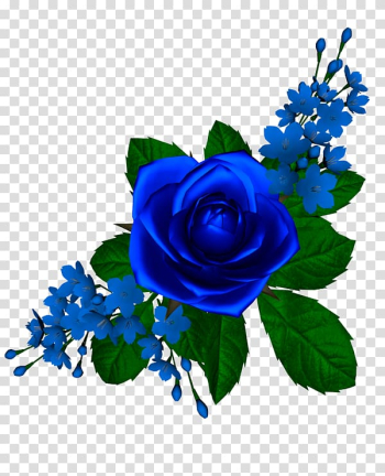 Blue rose Flower , blue rose transparent background PNG clipart ...