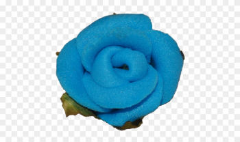 Blue Rose - Rose Blue Rose - Rose