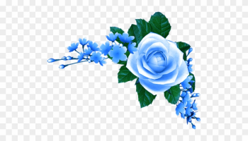 Blue Roses - Blue Rose Png Hd Blue Roses - Blue Rose Png Hd