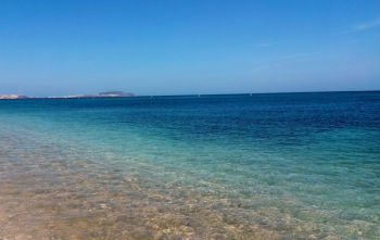 Blue Seashore Beach at Daylight Photography