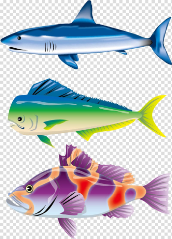 Blue shark Fish Illustration, Colorful fish material transparent background PNG clipart