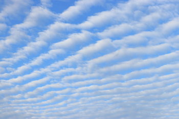 Blue Sky Blue Sky