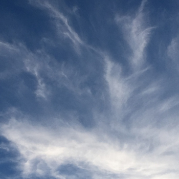 Blue Sky Blue Sky