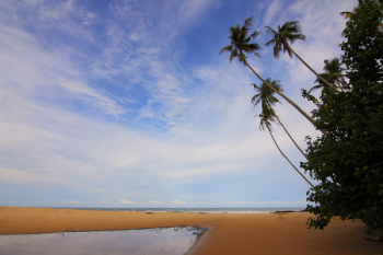 Blue Sky Above Beach during Daytime Blue Sky Above Beach during Daytime