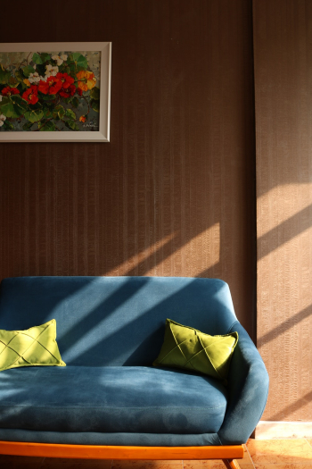 Blue Sofa Blue Sofa