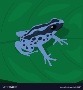 blue spot tropical frog on leaf blue spot tropical frog on leaf