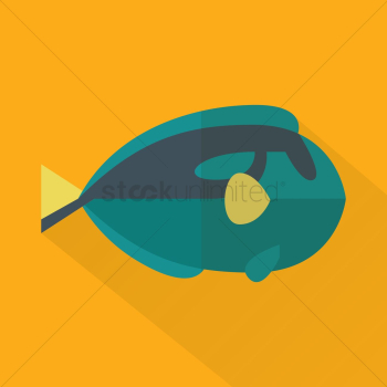 Blue tang fish Blue tang fish