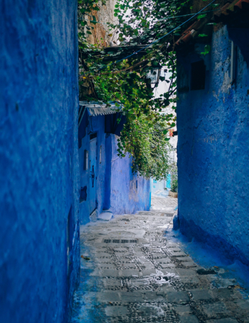 Blue Wall Alley Blue Wall Alley