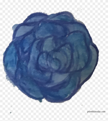 Blue Watercolor Rose - Garden Roses Blue Watercolor Rose - Garden Roses