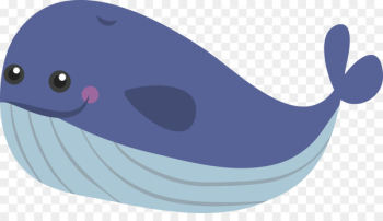 Blue whale - Lovely blue whale Blue whale - Lovely blue whale