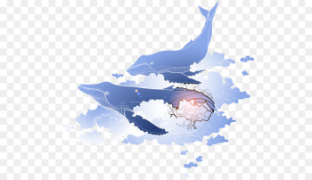 Blue whale Marine mammal - whale Blue whale Marine mammal - whale