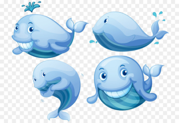 Blue whale Right whales Euclidean vector Photography - Cartoon whale 