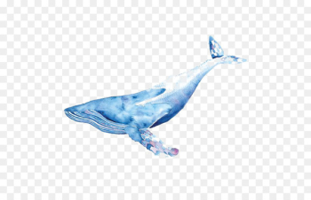 Blue whale Watercolor painting Drawing Illustration - Watercolor Whale 