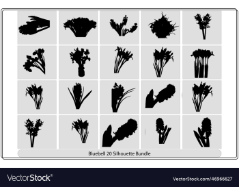 bluebell flower black silhouette