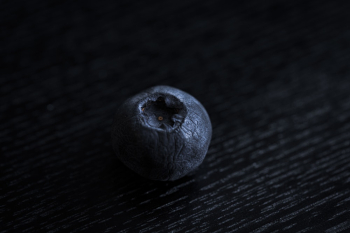 Blueberry Fruit Blueberry Fruit